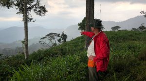 Aurania to expand from Ecuador to Peru