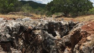 Jed Richardson PRESIDENT & CEO, TRIGON METALS