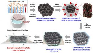 Scientists develop stretchable lithium-ion battery