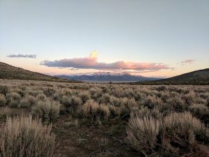 NuLegacy stock rises on private placement