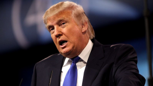 Pentagon halts rare earths funding for Lynas - sources