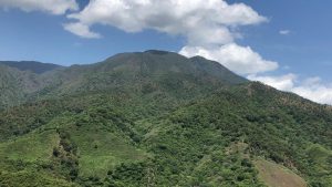 Evrim Resources and Renaissance Gold join in ‘merger of equals’