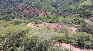 Colibri to sell 50% of gold project in Sonora to Silver Spruce