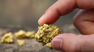 Haywood lifts gold price forecasts