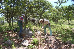 First Majestic Silver to sell Mexico's assets to Apollo