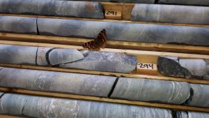 Monarch hits high-grade gold at McKenzie Break