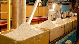 China's rare earth magnet exports hit six-month high in July