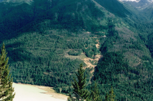 Reliance property Endurance gold