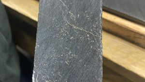 Canada Nickel aims for zero-carbon emissions at Crawford nickel project