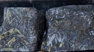 Altiplano Metals to add mill, processing plant to Farellon operation in Chile