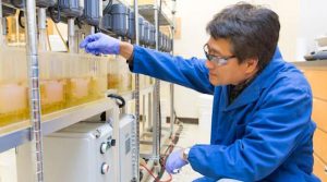 Canada to have rare earth processing plant in 2022