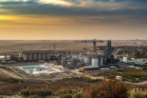 Pan African counts on gold price to maintain strong growth, says CEO