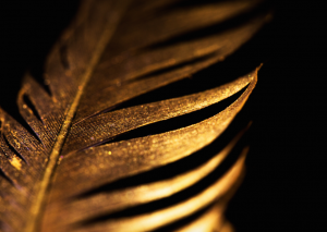 Gold feather