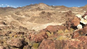 Gold Resource sees Nevada output boost, stock jumps