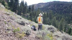 Gaia samples high grades at Freeman Creek gold project in Idaho