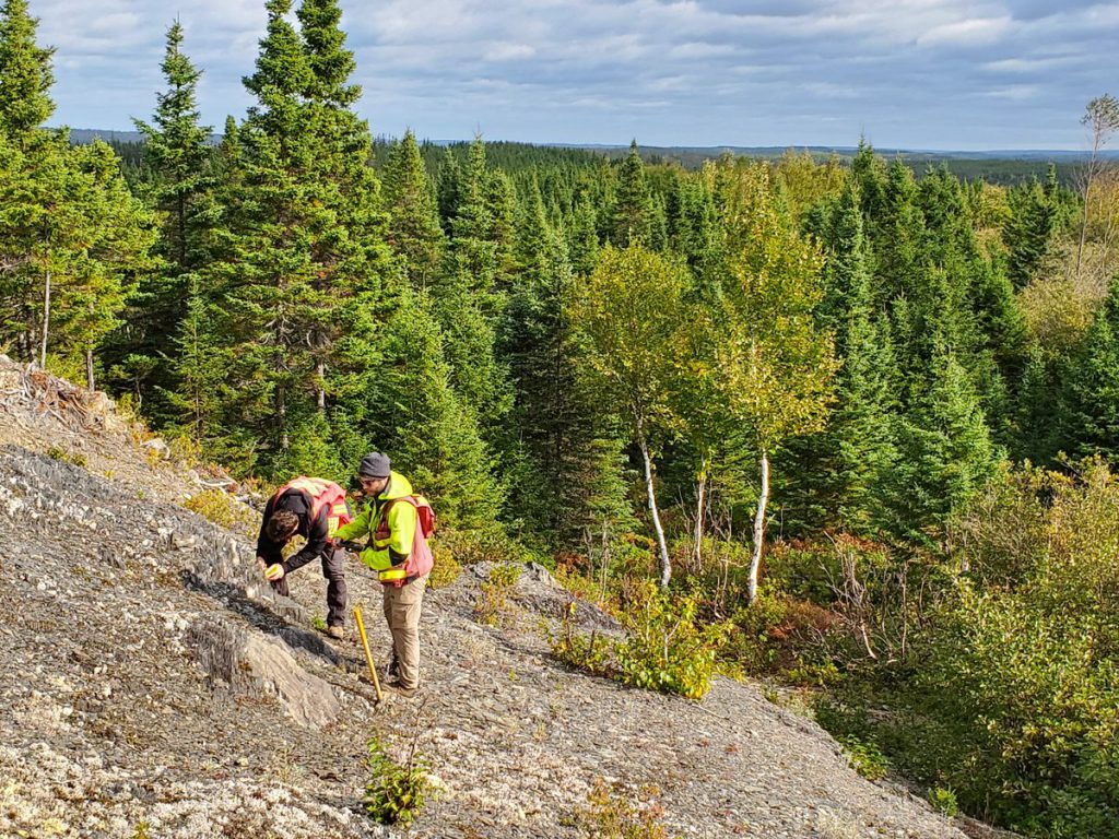 Labrador Gold receives $7.8m investment from Sprott, New Found Gold