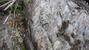 Transition Metals reports encouraging copper mineralization at Saskatchewan project