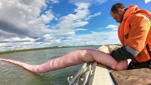 Nornickel pays $2 bln for Russia's worst Arctic spillage