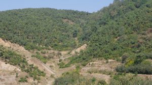 China rescues first person from Shandong gold mine -CCTV