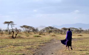 Kabanga, Tanzania ink deal to develop world’s largest nickel deposit