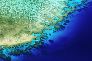 Lodestone reef Australia