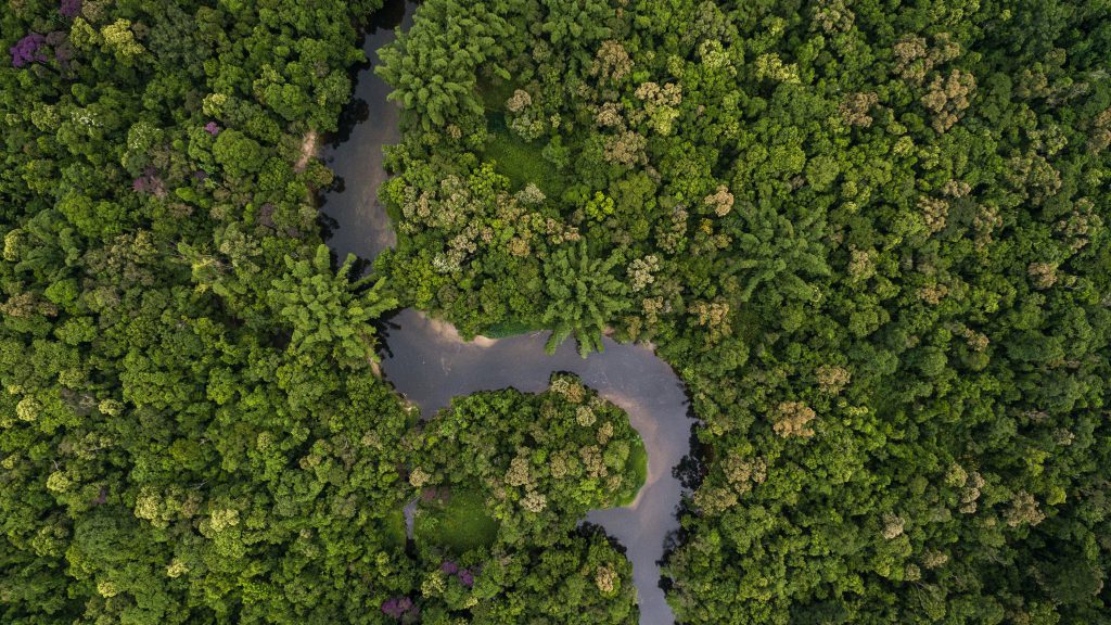 In Brazil, an indigenous woman joins Bolsonaro in fight for mining