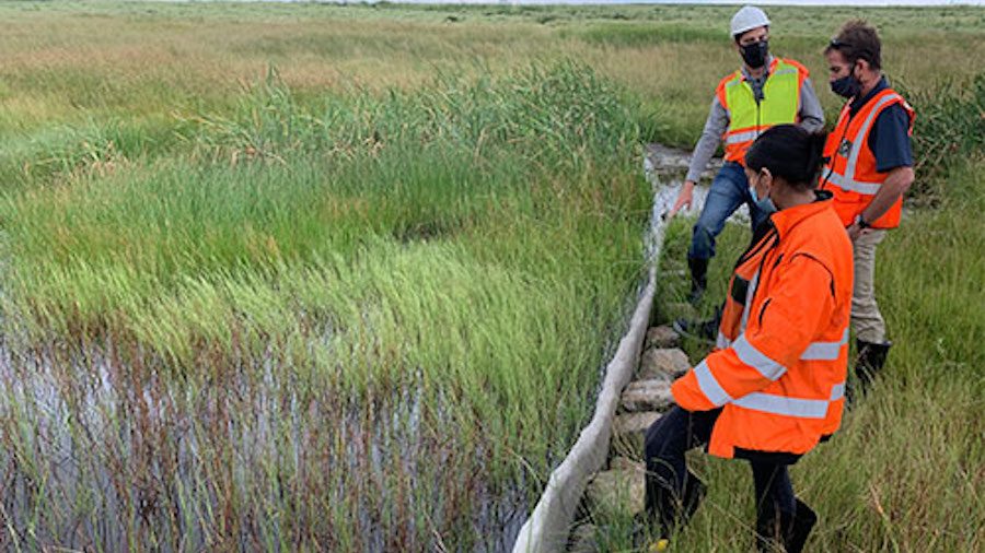 Anglo commits to provide eDNA data to protect biodiversity