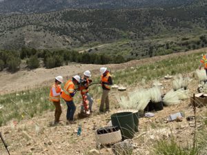 Rio Tinto Kennecott, BYU researchers partner to improve reclamation at Bingham
