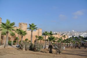Morocco targets $1.7bn in non-phosphate mining revenue by 2030