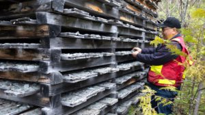 Goldshore drills gold in first holes of 100,000m program at Moss Lake