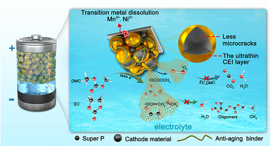 Researchers develop anti-ageing chemistry to overcome next-gen lithium battery decay