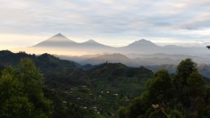 Congo Republic seeks Glencore loan deal within a year, says oil minister