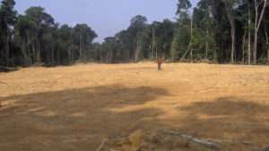 Fortescue to develop Gabon iron ore mine amid green revolution