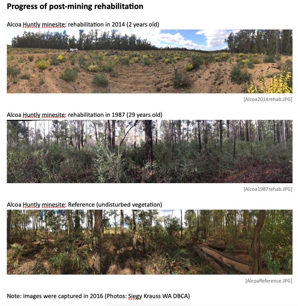 Soil bacteria reveal it takes about 40 years to rehabilitate former mine sites