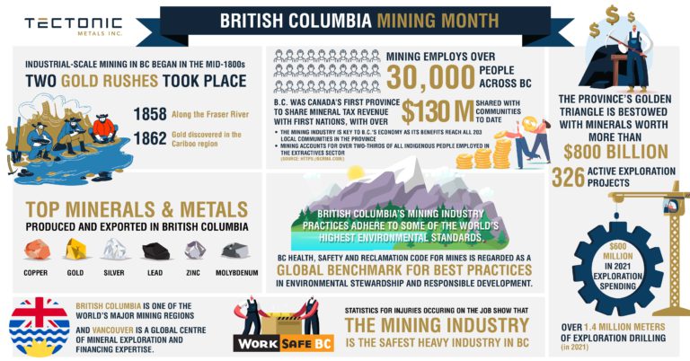 Infographic: The importance of the minerals and mining sector to ...