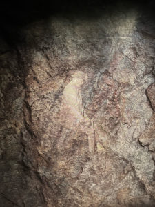 More than a mine: A tale of two historic British Columbia mining camps  