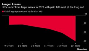 Bear market leaves bond investors with few places to hide
