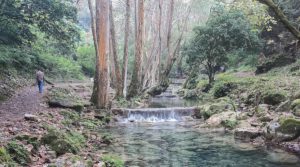 Biosphere reserve Sierra Gorda de Querétaro