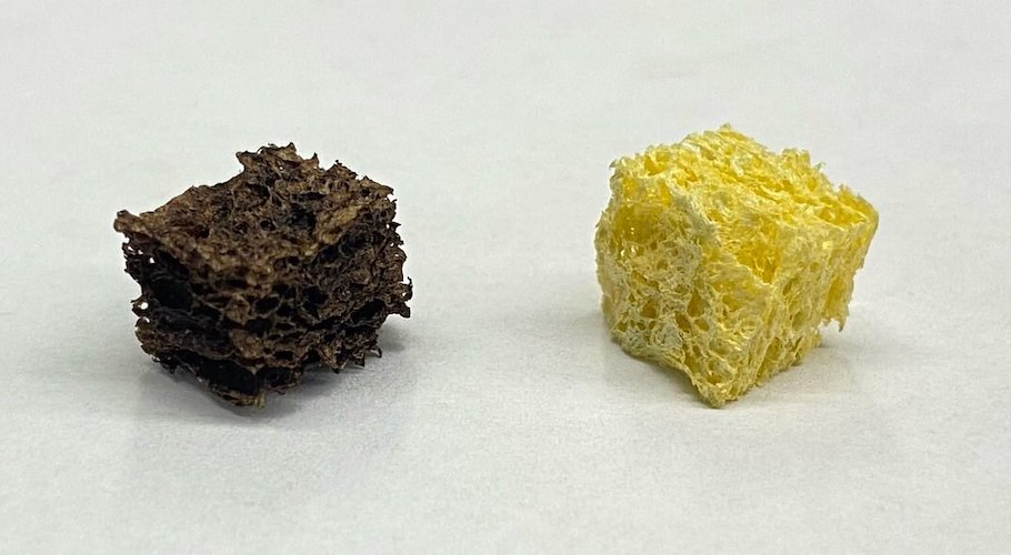 Sponge coated with nanoparticles (left) next to an uncoated cellulose sponge