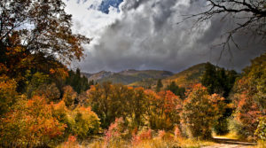 Butterfield Canyon in Utah