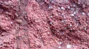 Bauxite outcrop.