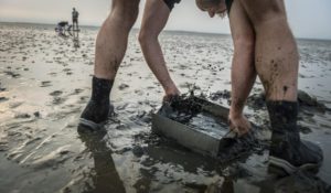 Sieving one of the nearly 5,000 soils samples taken with SIBES on the intertidal mudflats of the Dutch Wadden Sea.