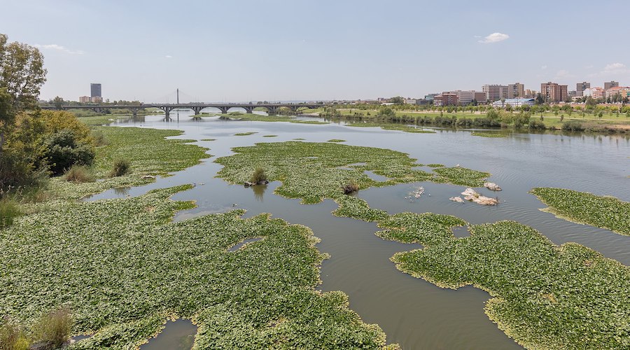 Guadiana River near Badajoz, Spain