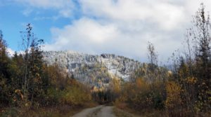 Defense Metals testing makes 50% TREO concentrates with 80% recovery