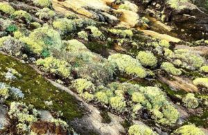 Western Wabigoon Project. (Image: Kenorland Minerals)