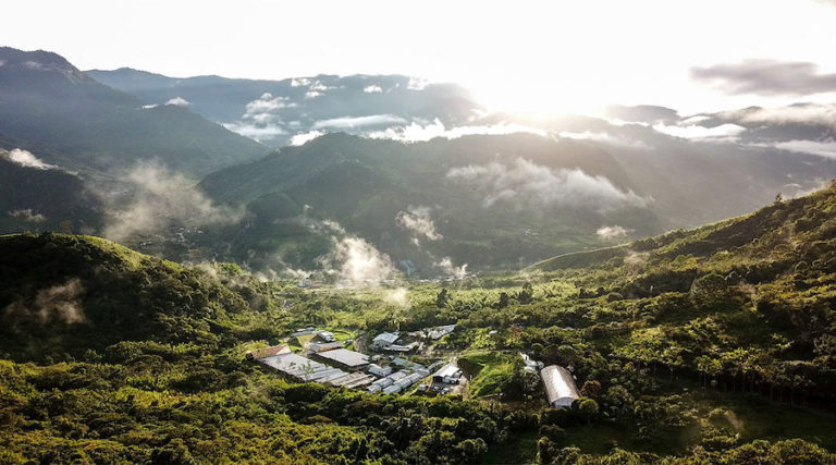 SolGold names new CEO, reshapes strategy