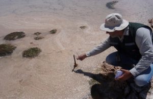 Chile fines Albemarle for lithium extraction violations