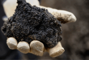 The Goschen Project, located in Australia's Victoria