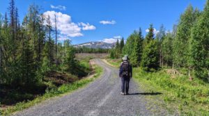 Micro Cap Winner District Metals