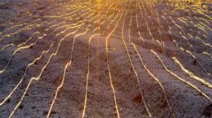 Transition Metal scales microbe tech for copper recovery